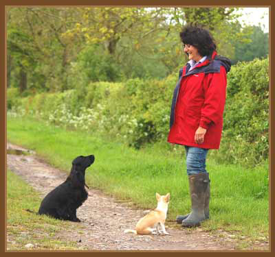 Janet with dogs sitting to command