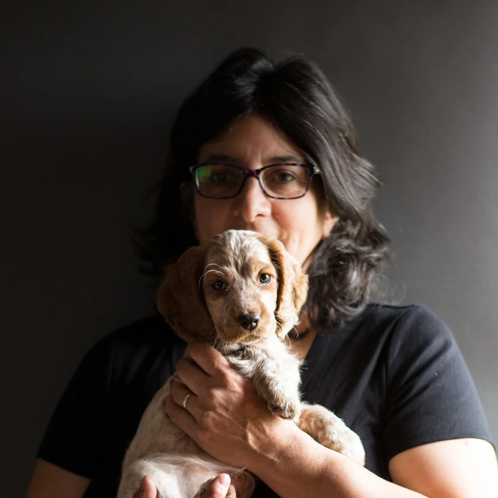 Puppy buying advice in Cumbria from Janet Ardley